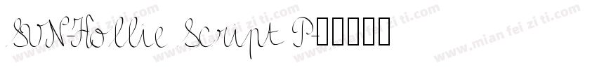 SVN-Hollie Script P字体转换
